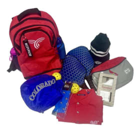 Pickleball Essentials Bundle item