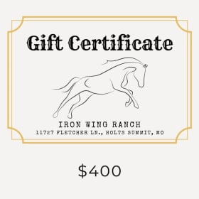$400 Gift Certificate item