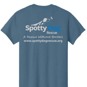 Indigo "You Can't Buy Love, Adopt It" item