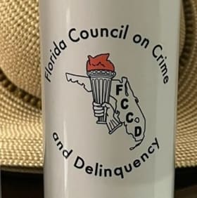 FCCD Insulated Tumbler- 20oz (style 3) item