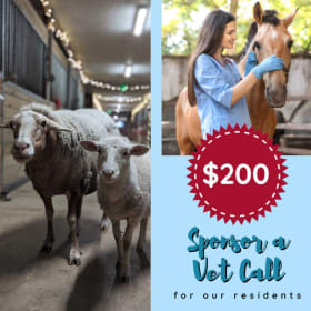 Sponsor a Vet Call for our residents item