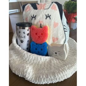 Cat bed, goodies and coupon item