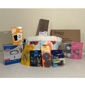 Cat starter kit item