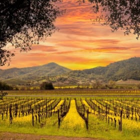 California Wine Country Getaway with Tour! item