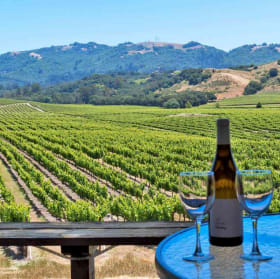 Sonoma Wine Country Getaway! item