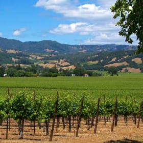 Sonoma Wine Country Getaway! item