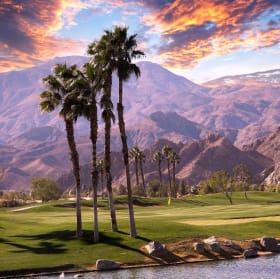 2 Nights in Palm Springs! item