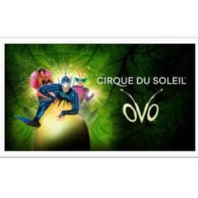 Cirque du Soliet tickets (2) and $50 Visa gift card item