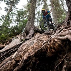 Whistler Mountain Bike Park for 4 people (Value: $360) item
