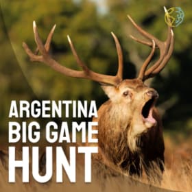 Argentina Hunt 4 hunters 5 days, 4 nights and 3 hunting days item