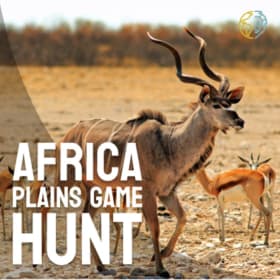Theron Safaris Plains Game Hunt 7-Night for 4 hunters item