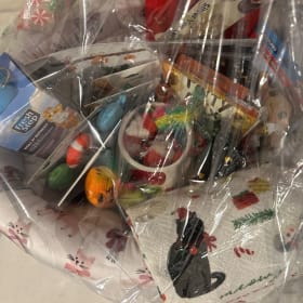 Cat bed basket of goodies + $40 coupon item