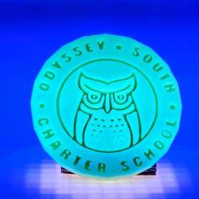GLOW IN THE DARK keychain! item