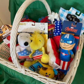 Gift Basket #2 Dog Bed, Toys and Bark Box item