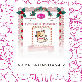 Name Sponsor - Next Available Kitten item