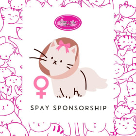 Spay Sponsorship (Female Procedure) item