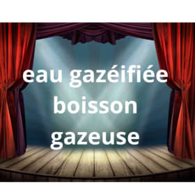 eau gazéifiée / boisson gazeuse item