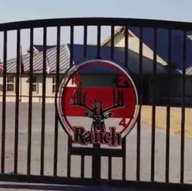 Texas Style Dove Hunt Experience: Commerce, Texas (2) item