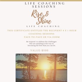 73. Life Coaching Gift Certificate #1 (v. $500) item