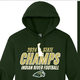 State Championship Hoodie item