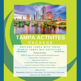 A Beautiful Day in Tampa Bay Activities item