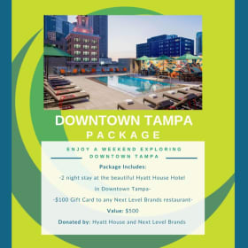 Downtown Tampa Package item