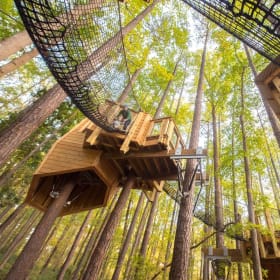 4  tickets to the Museum of Life and Science item