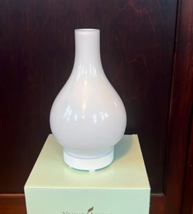 Glass Diffuser & Essential Oils Bundle item