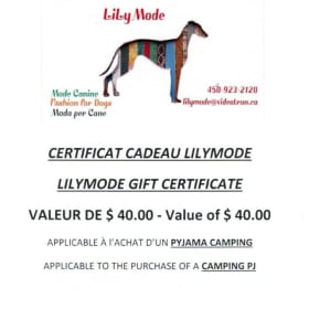 Certificat cadeau de 40$ Lily Mode item