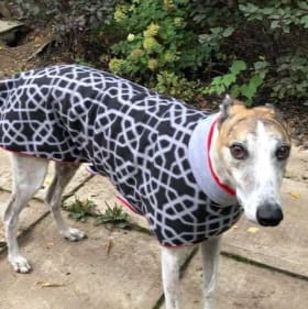 Certificat cadeau de 40$ Lily Mode item