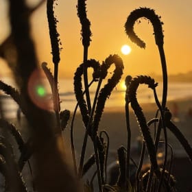 Photo Triptych in Hand-Poured Resin, 12"x12" item