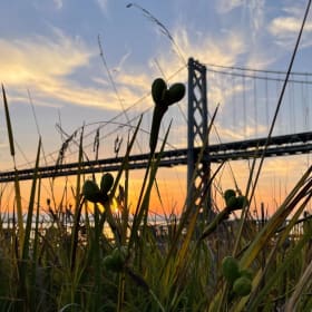 Photo Triptych in Hand-Poured Resin, 12"x12" item