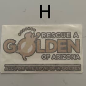 H - NEW COLORS! RAGofAZ Vinyl Press-on 10" x 6" item