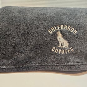 Grey Plush Blanket item