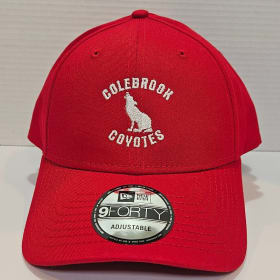 Adult Ball Cap - Red item
