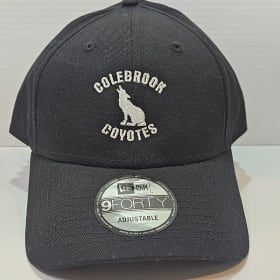 Adult Ball Cap - Black item