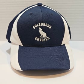 Adult Ball Cap - Navy & White item