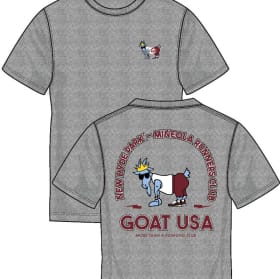 Custom Club GOAT Tee - Gray, Youth Medium item