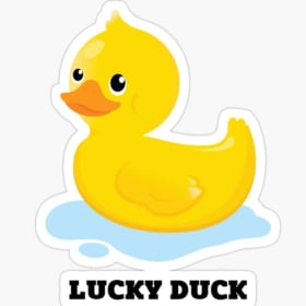 Lucky Ducks item
