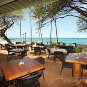 $100 at Lava Lava Beach Club item