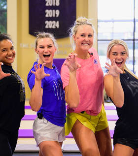 Livvy Dunne Signed Volleyball item