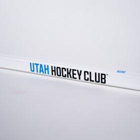 Barrett Hayton Signed Stick item