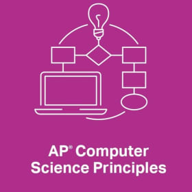 AP Computer Science Principles (CSP) item