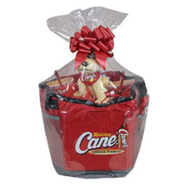 Raising Canes Fan Pack item