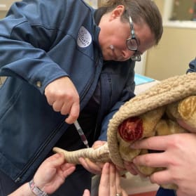 Reptile Handling Experience item