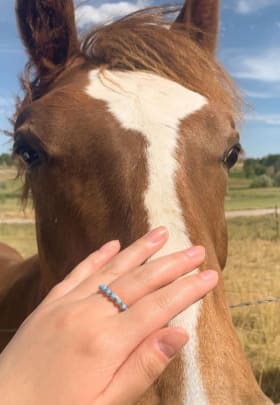 Marlboro Ridge Riding Lessons item