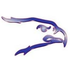 Ellinwood Eagles Season Ticket Pass item