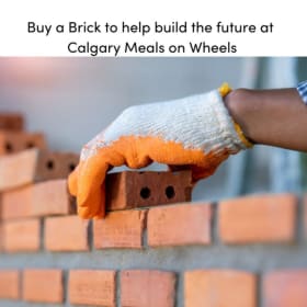 Brick for our expansion item