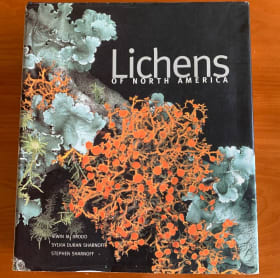 Book - Lichens of North America item