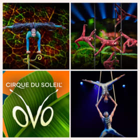 LA03. - 2 tickets to Cirque du Soleil & More... Retail $1000 item